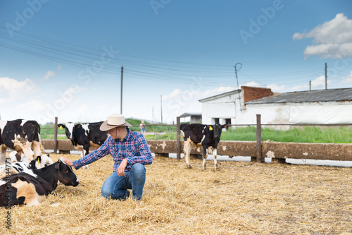 Billede på lærred Cowboy and Cows. Portrait of a man on livestock farm.