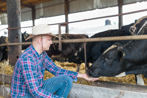 Cowboy and Cows. Portrait of a man on livestock farm.