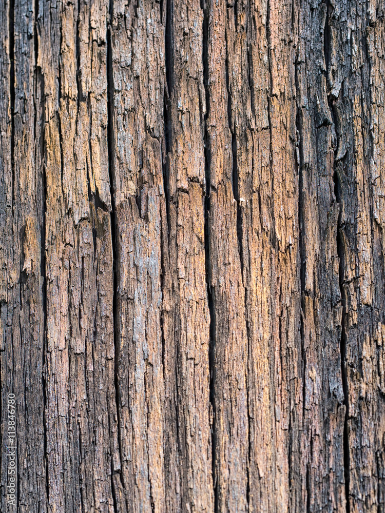 Wood background, with gran, wet and weathered, vertical lines. Wood background, with gran, wet and weathered, vertical lines.