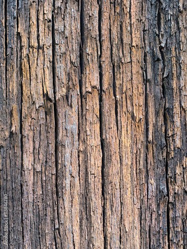 Wood background, with gran, wet and weathered, vertical lines.