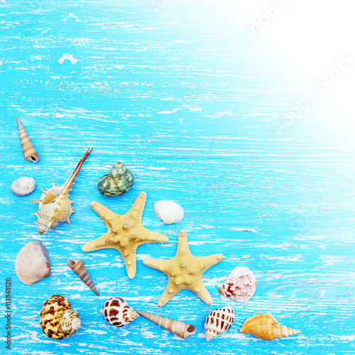 Seashells and starfish on a blue wooden background