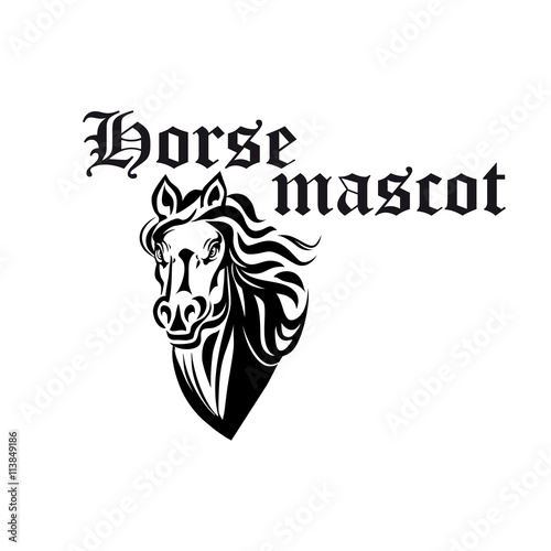 Black and white horse mascot of purebred stallion