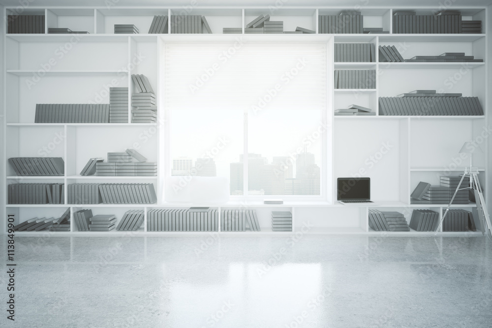 Fototapeta premium Concrete interior with bookcase
