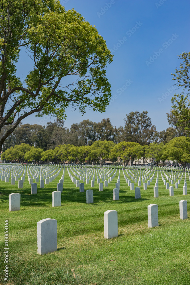American Soldier Graves