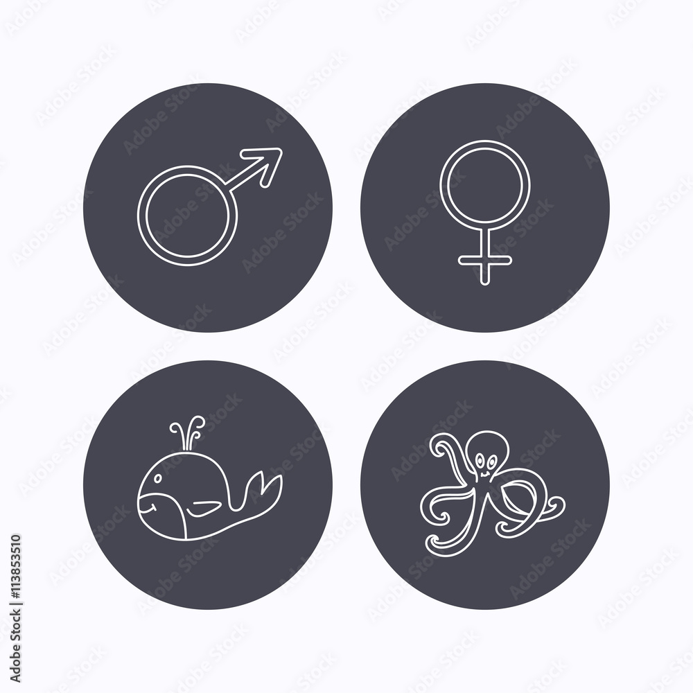 Male, female and octopus icons. Male, female and octopus icons.