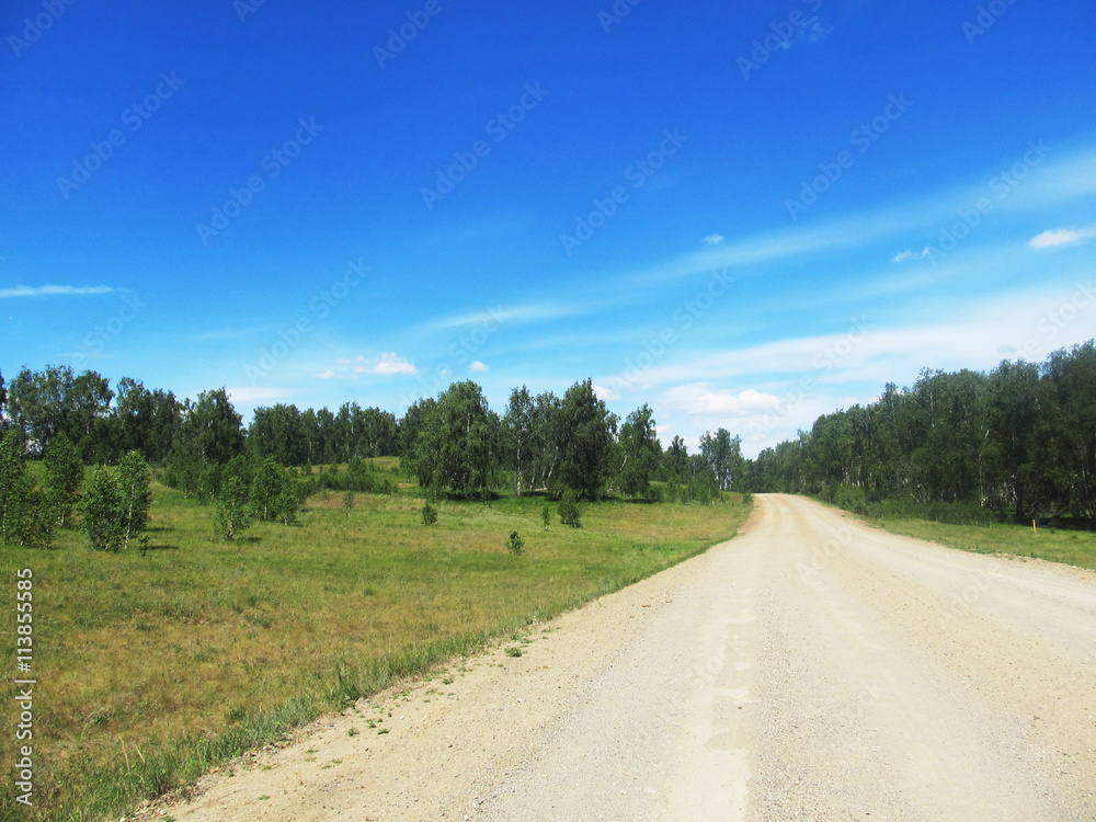 country road in the summer