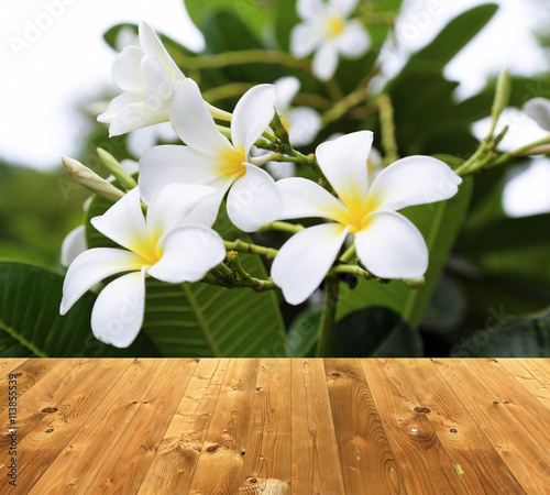 Wooden style floor and whit...