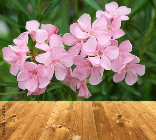 Wooden style floor and pink...
