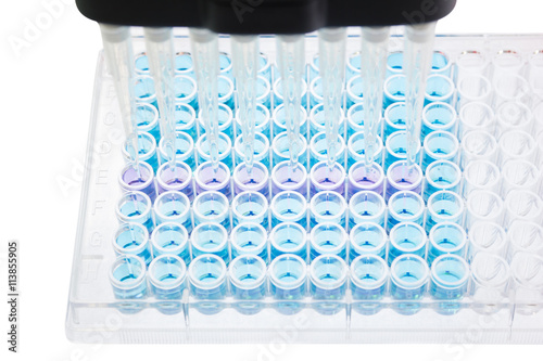 research test lab plate analysis