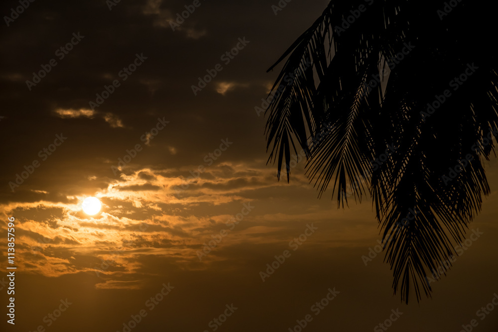 Obraz premium Silhouette scene of Sunrise with palm tree