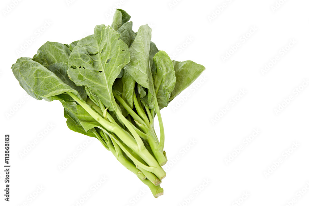 Chinese broccoli Chinese broccoli