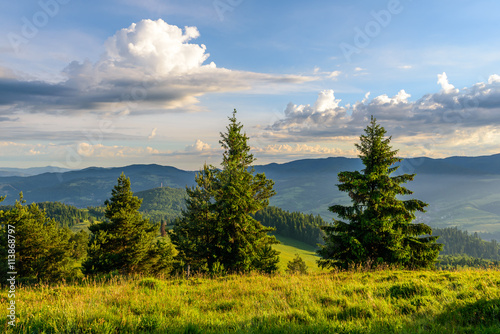 Wiosenne Pieniny