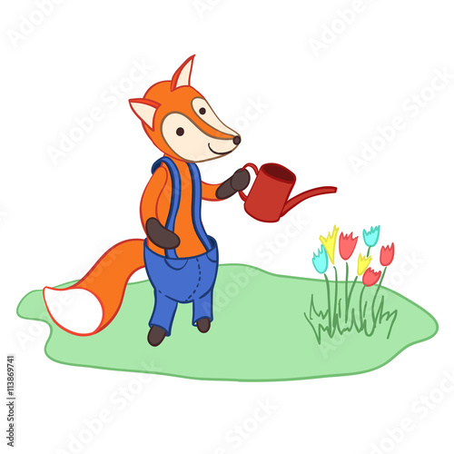 Cute cartoon fox in trousers watering flowers