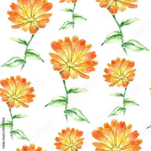 Fototapeta Naklejka Na Ścianę i Meble -  Watercolor calendula herbs. seamless pattern
