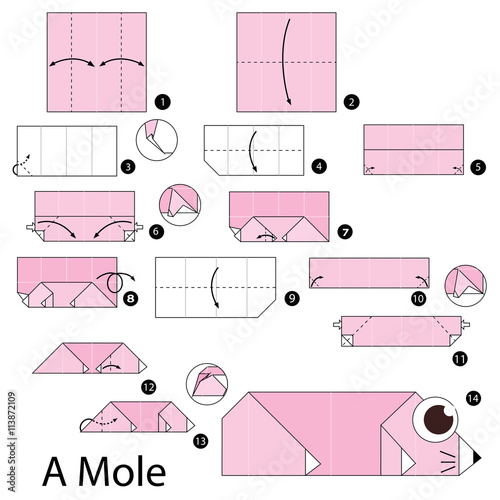Step by step instructions how to make origami A Mole.