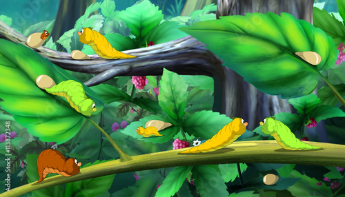 Beautiful Caterpillars Crawls on a Tree full color image