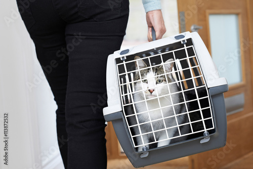 Tableau sur toile Woman Taking Pet Cat To Vet In Carrier