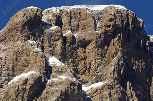 Pyrenees