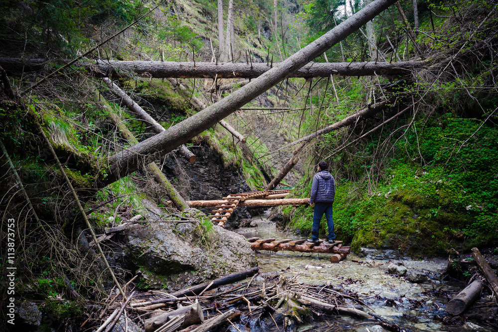 Man standing on the path through fallen trees