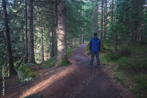 Man standing at the forest path