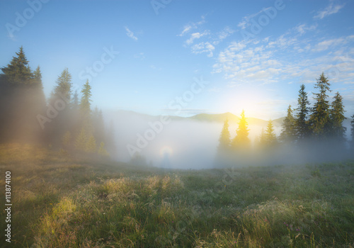 Foggy morning summer countryside landscape