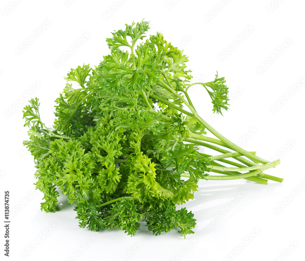 parsley isolated on white background parsley isolated on white background