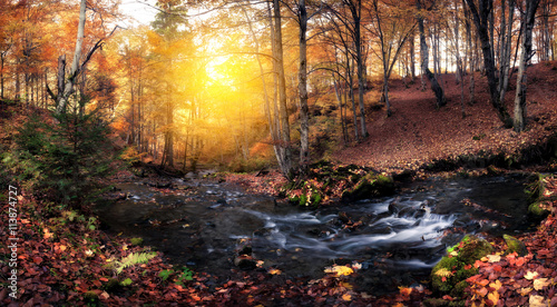 Creek at autumn colors forest © Nickolay Khoroshkov