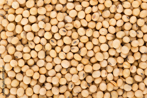 soy beans background