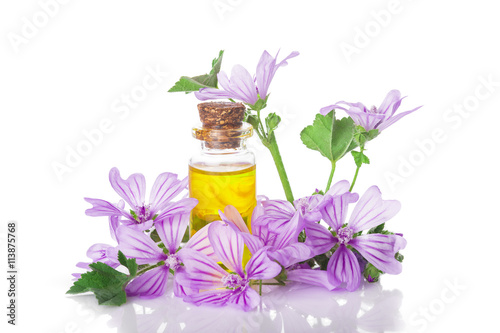 Frasco cuentagotas con aceite esencial o extracto de flor de malva aislado sobre un fondo blanco para uso como medicinas alternativas