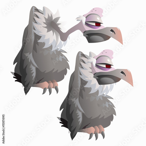 Funny bird vulture on a white background, isolated