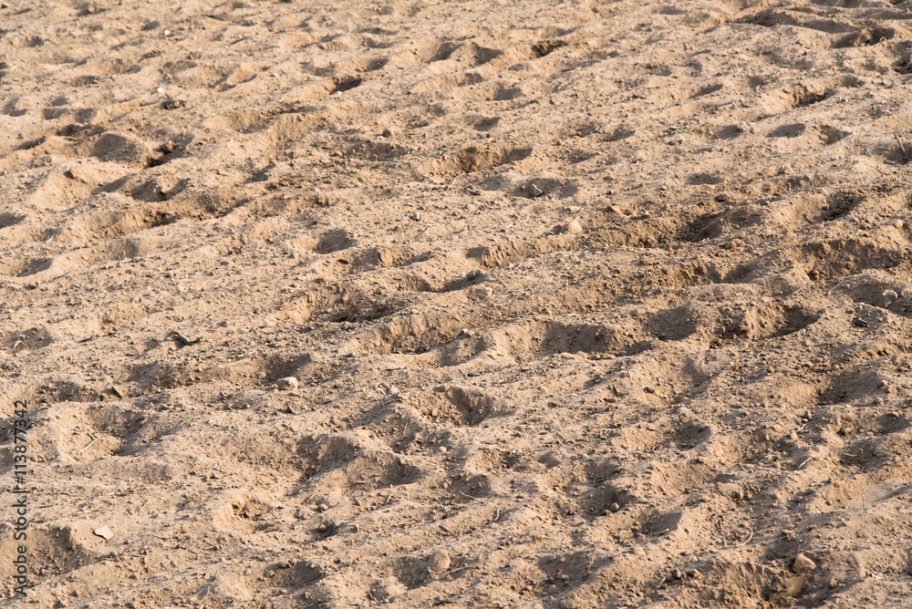 Sand background. Natural background Sand background. Natural background
