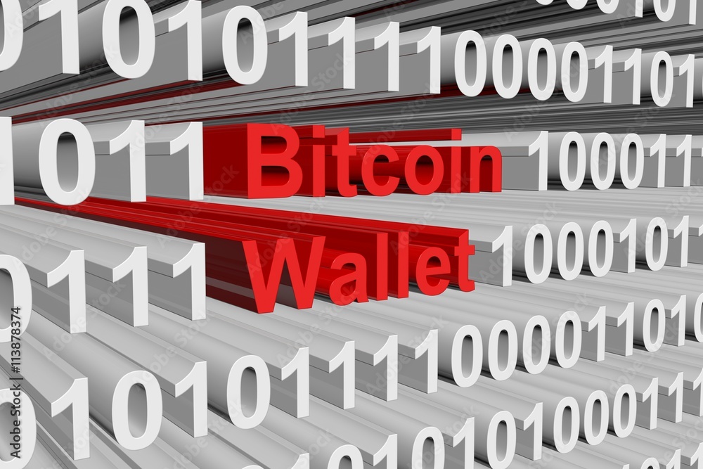 Bitcoin Wallet in the form of binary code, 3D illustration