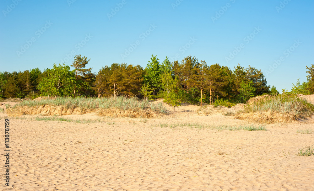 Landscape Landscape