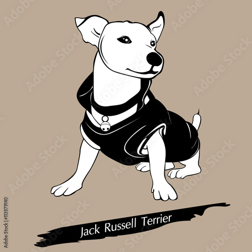 The frisky dog is sitting on the floor. With the brown background.