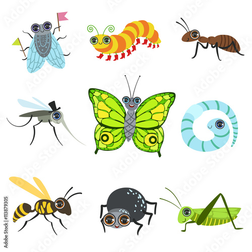 Insect Cartoon Images Collection