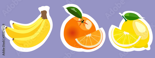 Fototapeta Naklejka Na Ścianę i Meble -  Set of vector colorful fruits stickers.