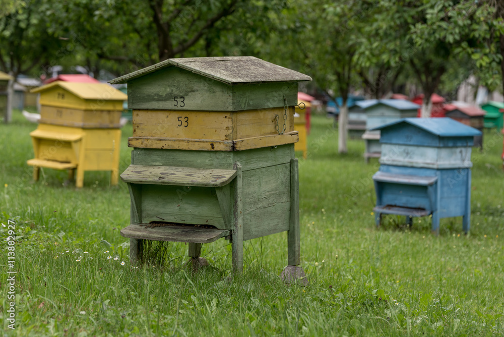 Colourful beehives.Beehives with bees in a honey farm Colourful beehives.Beehives with bees in a honey farm