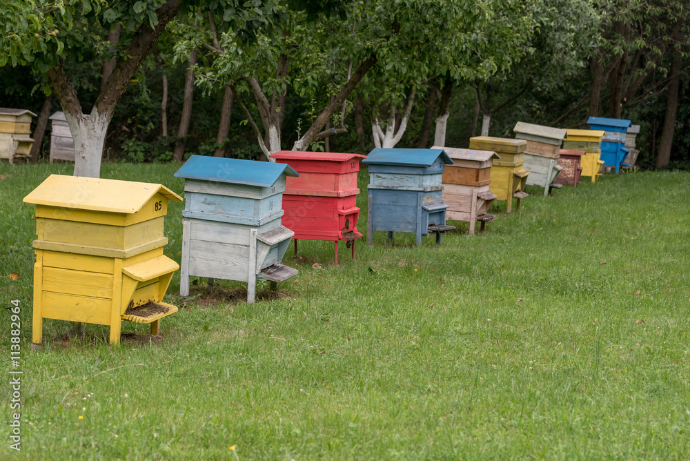 Row of beehives in a fruits tree garden Row of beehives in a fruits tree garden