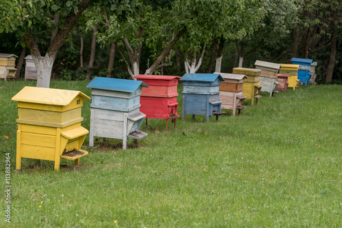 Row of beehives in a fruits tree garden