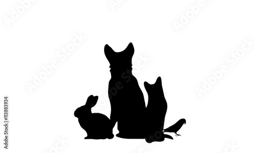 silhouette di animali domestici photo