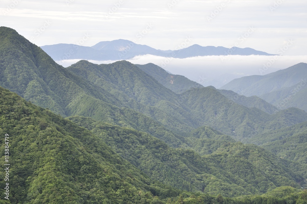 Obraz premium 丹沢の犬越路より箱根山を望む