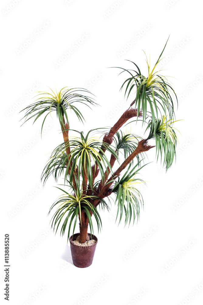 Artificial palm tree isolated on white background Artificial palm tree isolated on white background