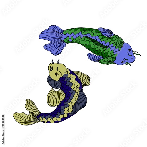 Catfish seafood image vector photo