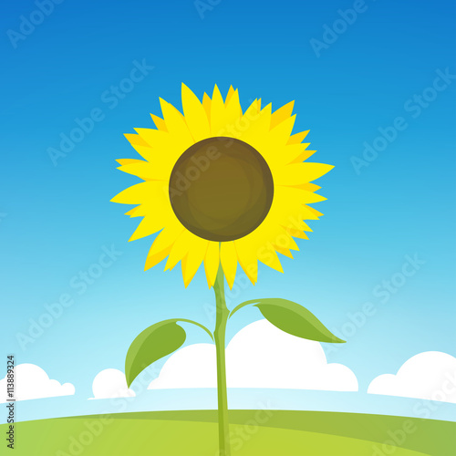 Fototapeta Naklejka Na Ścianę i Meble -  Sunflower on Landscape Illustration of Nature Farm