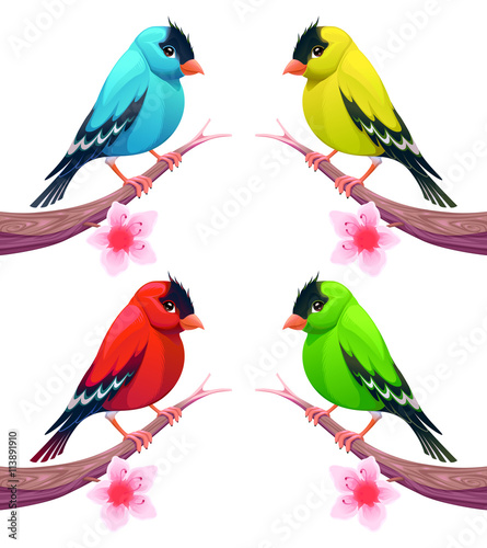 Group of birds in different color tones
