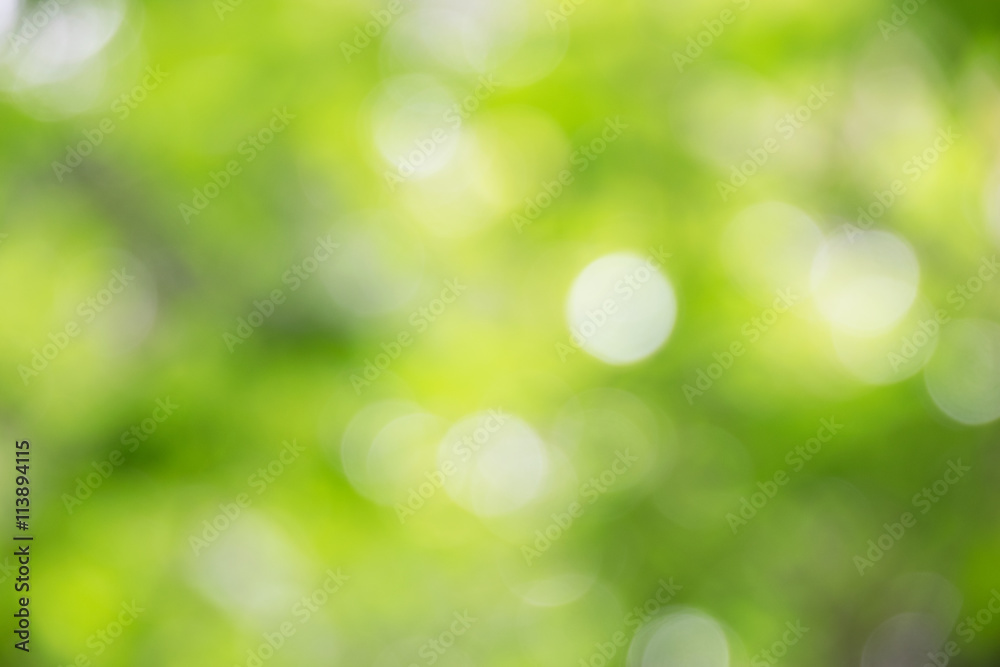 Green bokeh tree and light (blur style) Abstract background Green bokeh tree and light (blur style) Abstract background