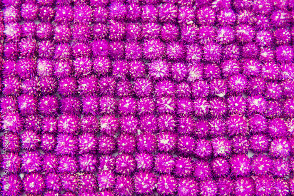 beautiful flowers background beautiful flowers background