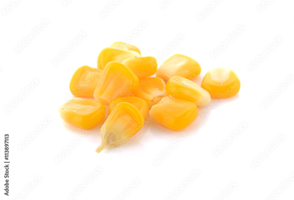 Fototapeta premium corn