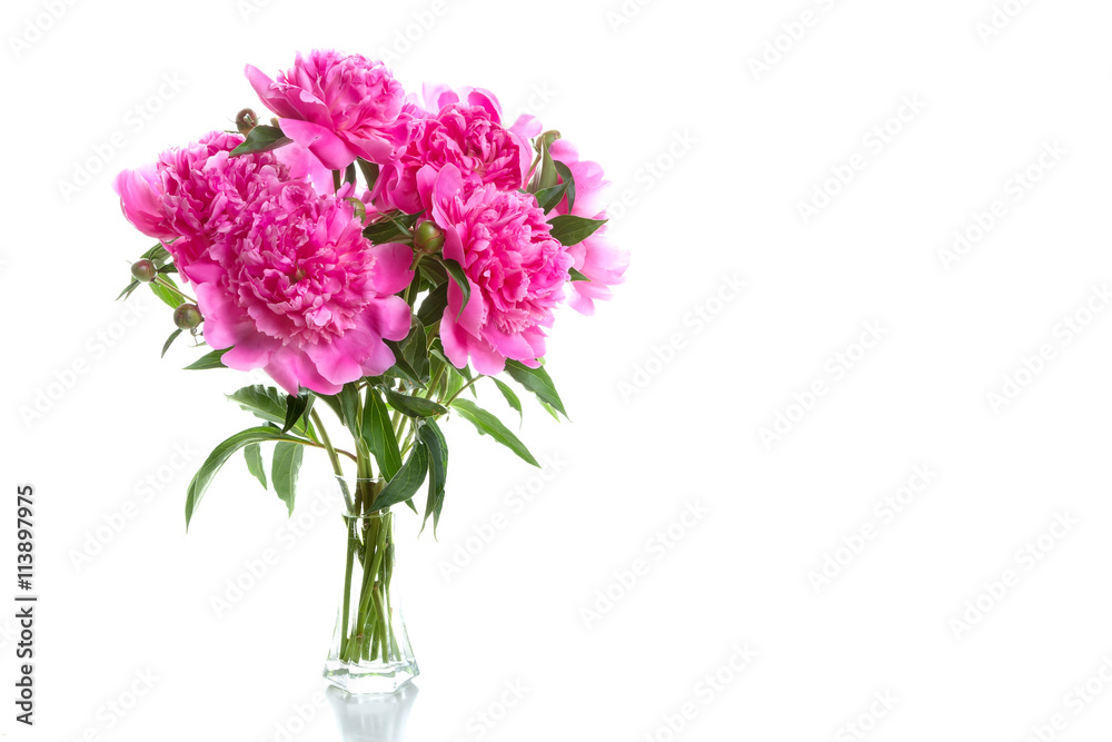 Bouquet of pink peonies