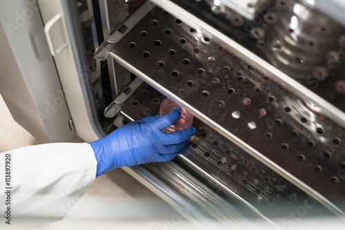 Canvas-taulu Taking sample out from the cell culture incubator